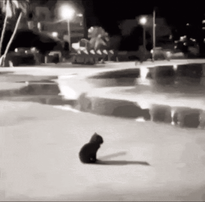 A small cat sits alone near water in a grainy nighttime scene.