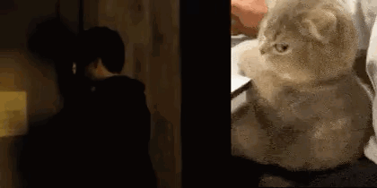 a woman is standing next to a cat that is sitting on a table .