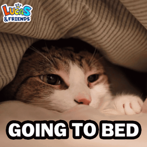 A cat hides under a blanket with the caption “GOING TO BED.”