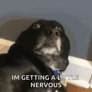 A black dog looks up nervously with the caption “IM GETTING A LITTLE NERVOUS.”
