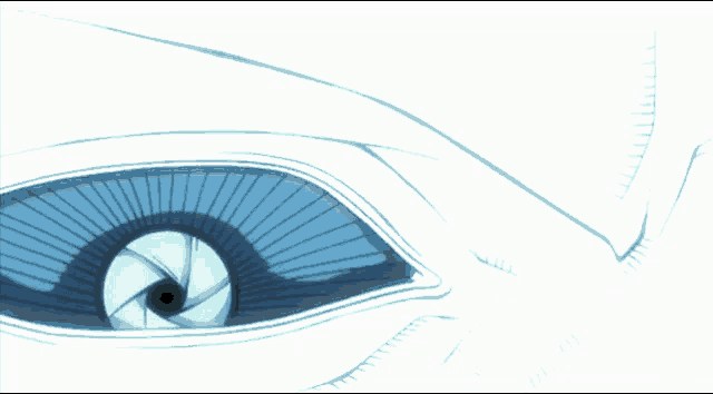 a close up of a person 's eye with a shutter shaped pupil