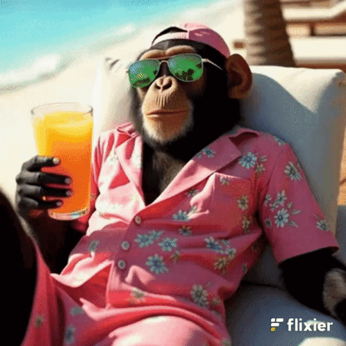 A monkey in a colorful floral shirt relaxes with a drink and thumbs up.
