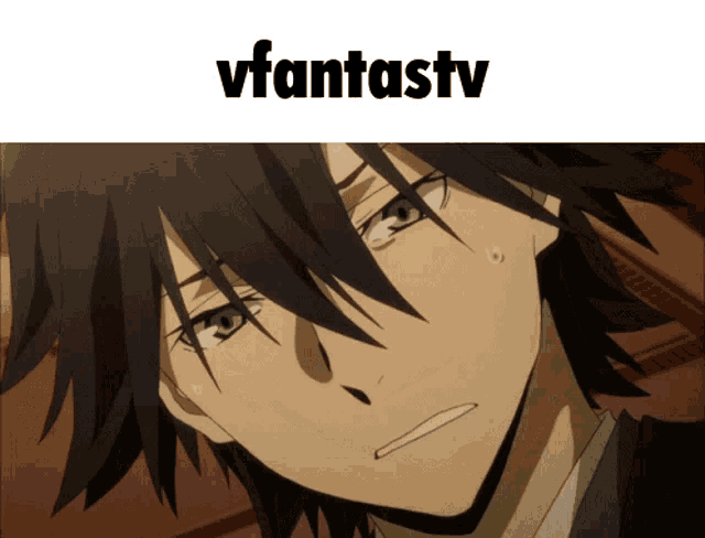 Vfan Vfant GIF