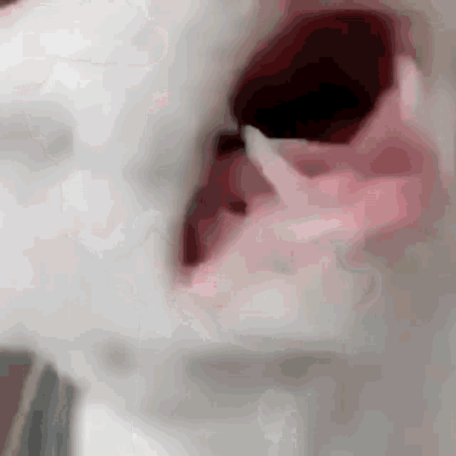 a close up of a white cat 's mouth with its tongue out .