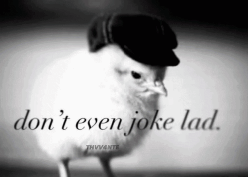 a black and white photo of a bird wearing a hat with the words " don 't even joke lad "