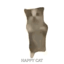 A blurry cat repeatedly jumps upright against a white background, captioned “HAPPY CAT.”