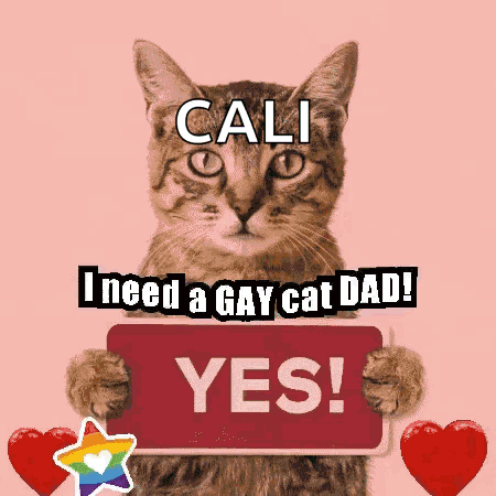 a cat holding a sign that says " yes "
