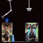 a picture of a donkey with tears running down its face