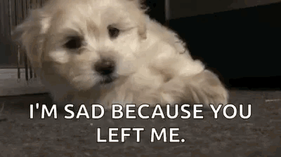 A small fluffy dog looks mournful beside “I'M SAD BECAUSE YOU LEFT ME.”