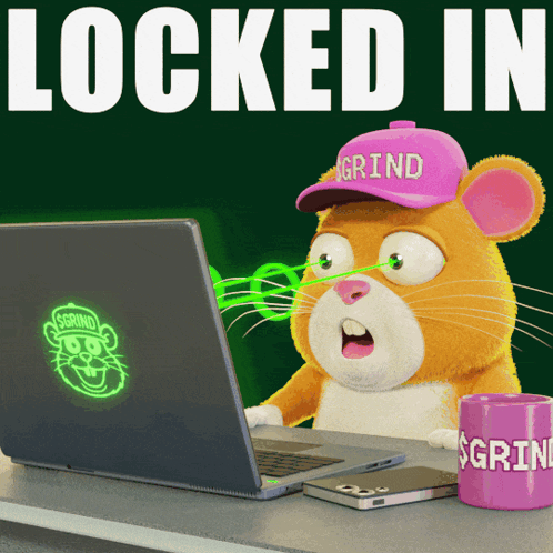 a hamster wearing a pink grind hat is using a laptop