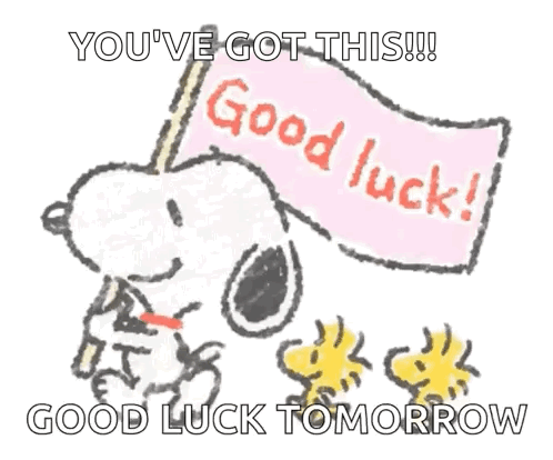 Snoopy carries a “Good luck!” flag with captions “YOU’VE GOT THIS!!! GOOD LUCK TOMORROW.”