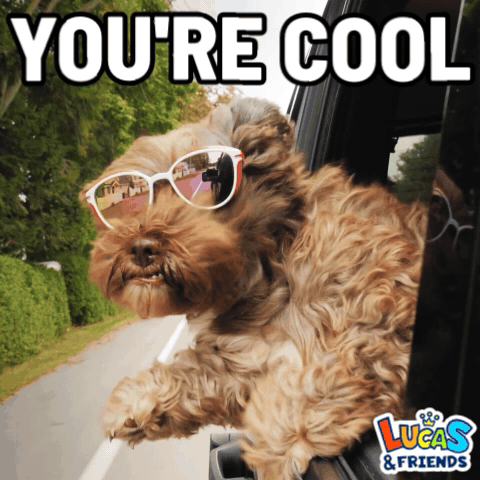 a dog wearing sunglasses is sticking its head out of a car window with the words " you 're cool " above it