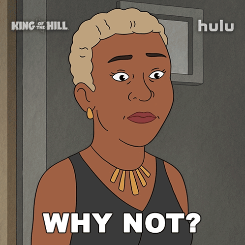 a cartoon of a woman with the words why not below her