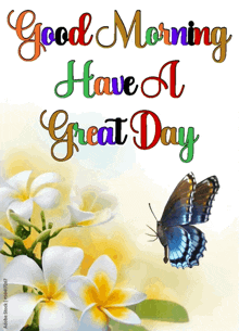 A decorative floral card says “Good Morning Have A Great Day” with a butterfly.