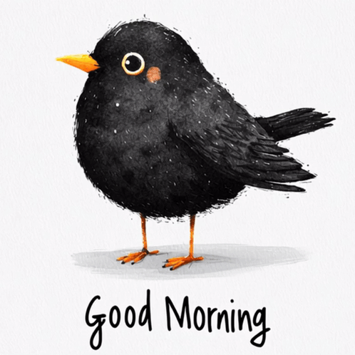 a black bird with a yellow beak and the words good morning written below it