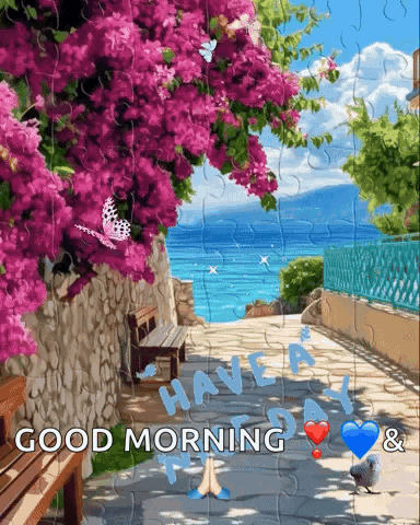 A seaside walkway lined with pink flowers says “GOOD MORNING.”