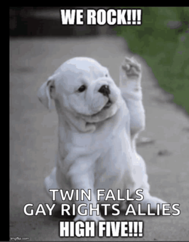 a picture of a puppy with a caption that says we rock