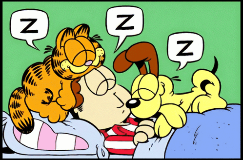 Garfield, Odie, and Jon sleep together in bed with Z symbols.