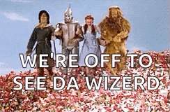 the wizard of oz characters are standing in a field of flowers and they are off to see da wizard .