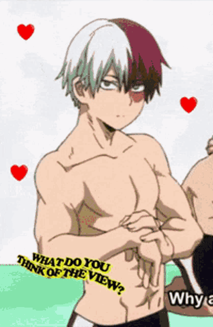 a shirtless anime character with the words " what do you think of the view " below him