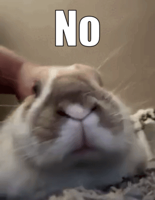 A rabbit is held close to the camera under a large “NO” caption.