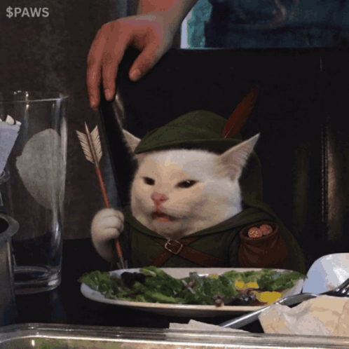 a cat in a robin hood costume is holding an arrow