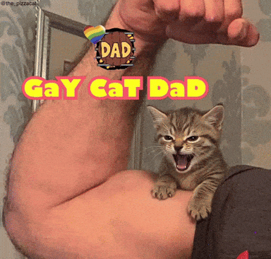 a cat is sitting on a man 's arm with the words gay cat dad written above it