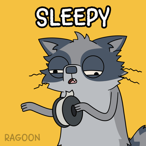 A sleepy cartoon raccoon holds a mug under a SLEEPY caption.