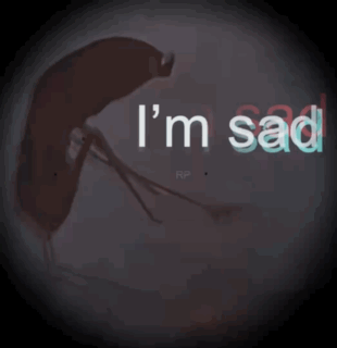 a picture of a mosquito with the words " i 'm sad " on it