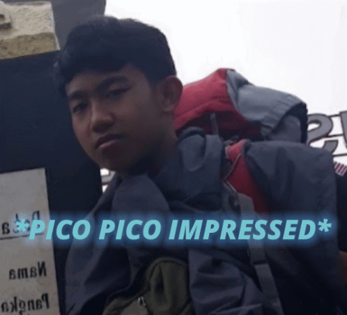 a man carrying a backpack with the words pico pico impressed
