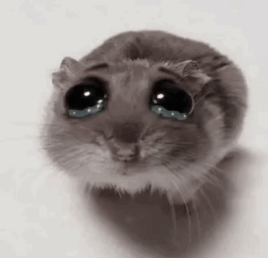 A gray hamster with oversized watery eyes looks sadly upward.