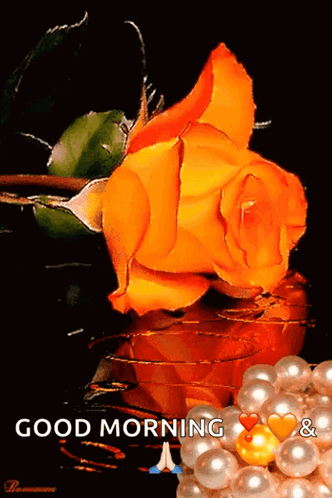 An orange rose rests beside pearls against a dark background with “GOOD MORNING.”