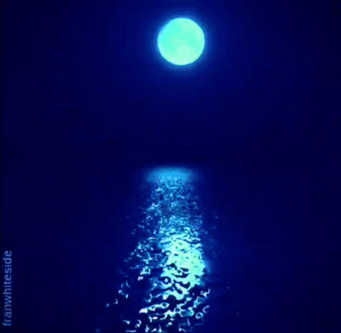 A full moon reflects on deep blue water in a serene night scene.
