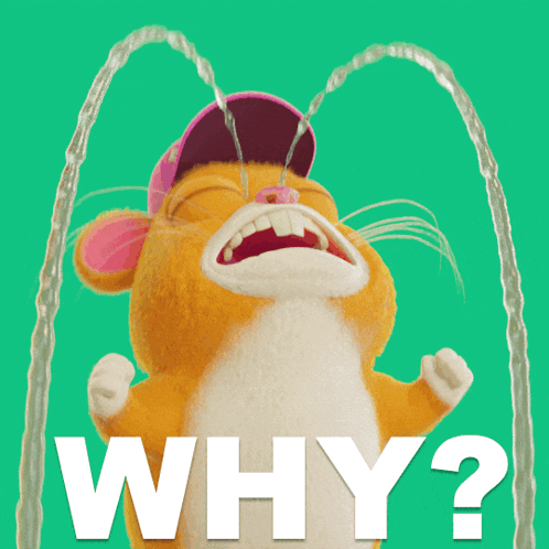 A cartoon hamster cries upward beneath a large “WHY?”