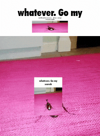 A tiny inset meme image appears on pink carpet under “whatever. Go my.”