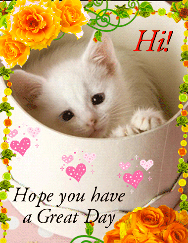 A white kitten peeks from a floral frame with “Hi!” and “Hope you have a Great Day.”