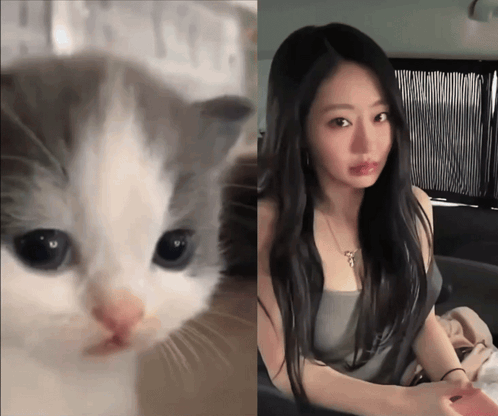 a close up of a cat and a close up of a woman