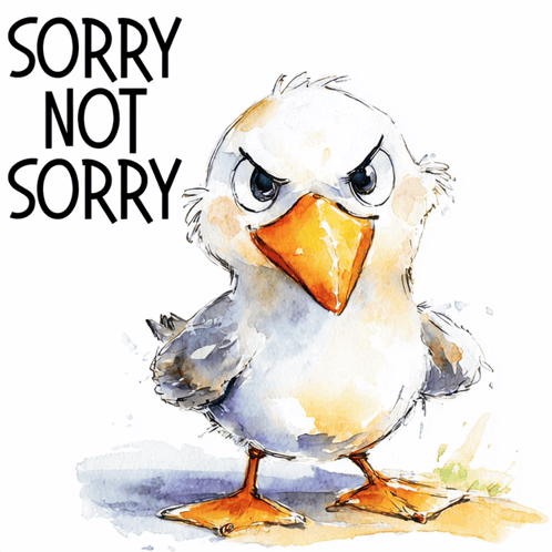 a drawing of a bird with the words sorry not sorry