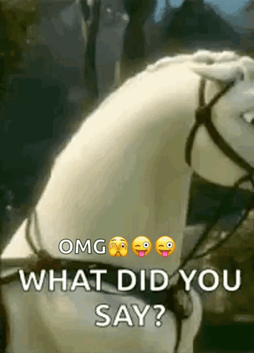 A white horse turns its head as text asks “WHAT DID YOU SAY?”