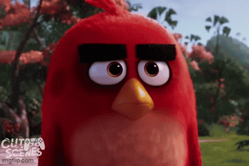 a close up of an angry bird from the movie