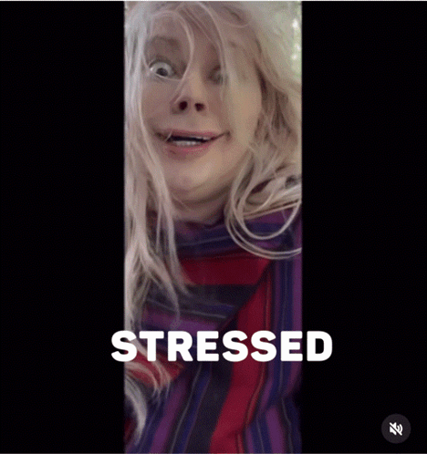 A blonde person stares wide-eyed while the caption “STRESSED” appears below.