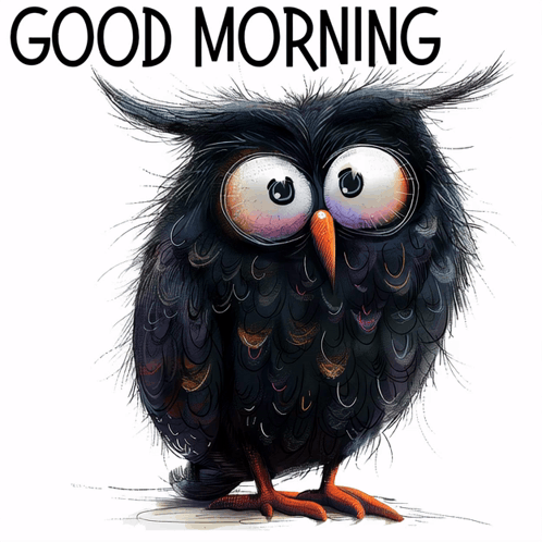 a black owl with big eyes and the words " good morning " above it