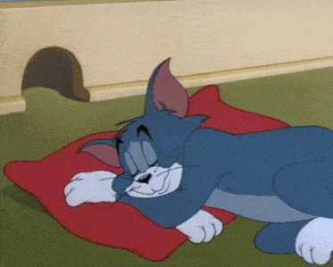 Tom from Tom and Jerry sleeps peacefully on a red pillow.