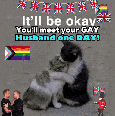 a picture of two cats hugging each other with the words it 'll be okay you 'll meet your gay husband one day