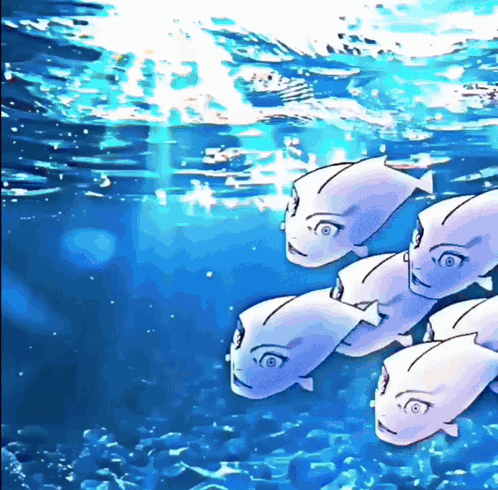 a group of fish with faces in the water