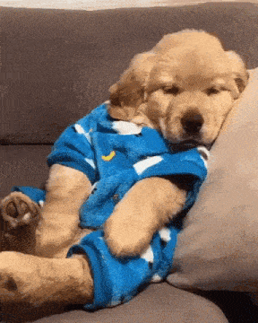 A teddy bear in blue pajamas sits looking sleepy.