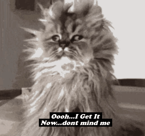 a cat with the words oooh i get it now dont mind me on it