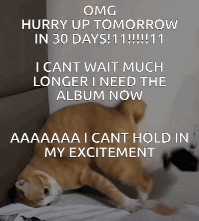 a cat laying on a bed with the words " omg hurry up tomorrow in 30 days !!! "
