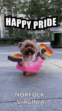 a dog wearing a pink tutu and holding a rainbow flag is walking down the street .