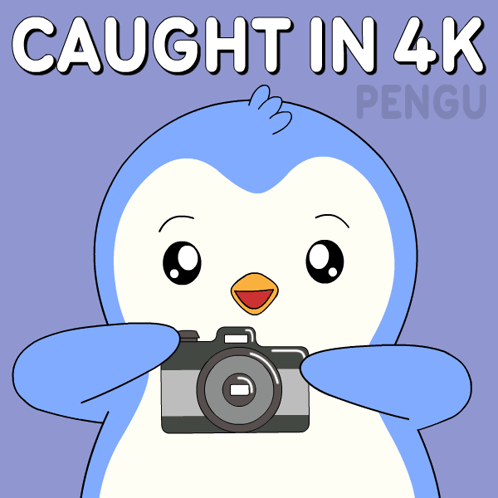 A blue cartoon penguin holds a camera under the caption “CAUGHT IN 4K.”